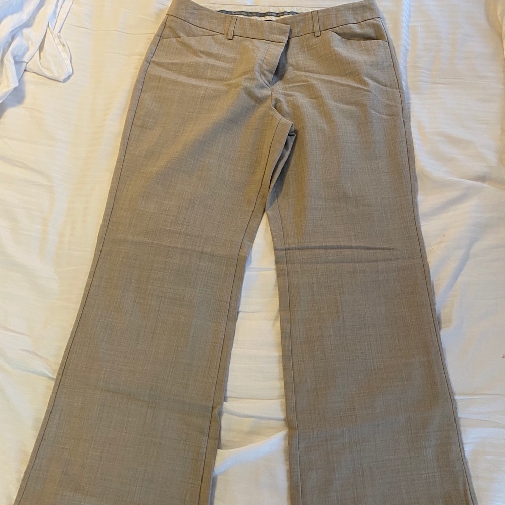 Express Editor Dress Pants